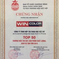 Quỳnh Sơn Wincolor